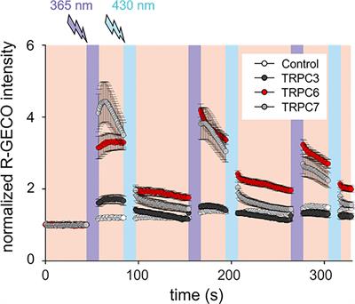 Pharmaco-Optogenetic Targeting of TRPC Activity Allows for Precise Control Over Mast Cell NFAT Signaling